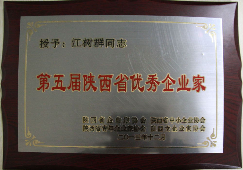 2013年集團創始人榮獲第五屆陜西省優秀企業家稱號